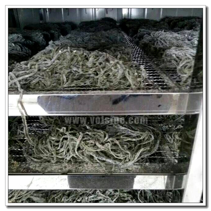 海带烘干机
